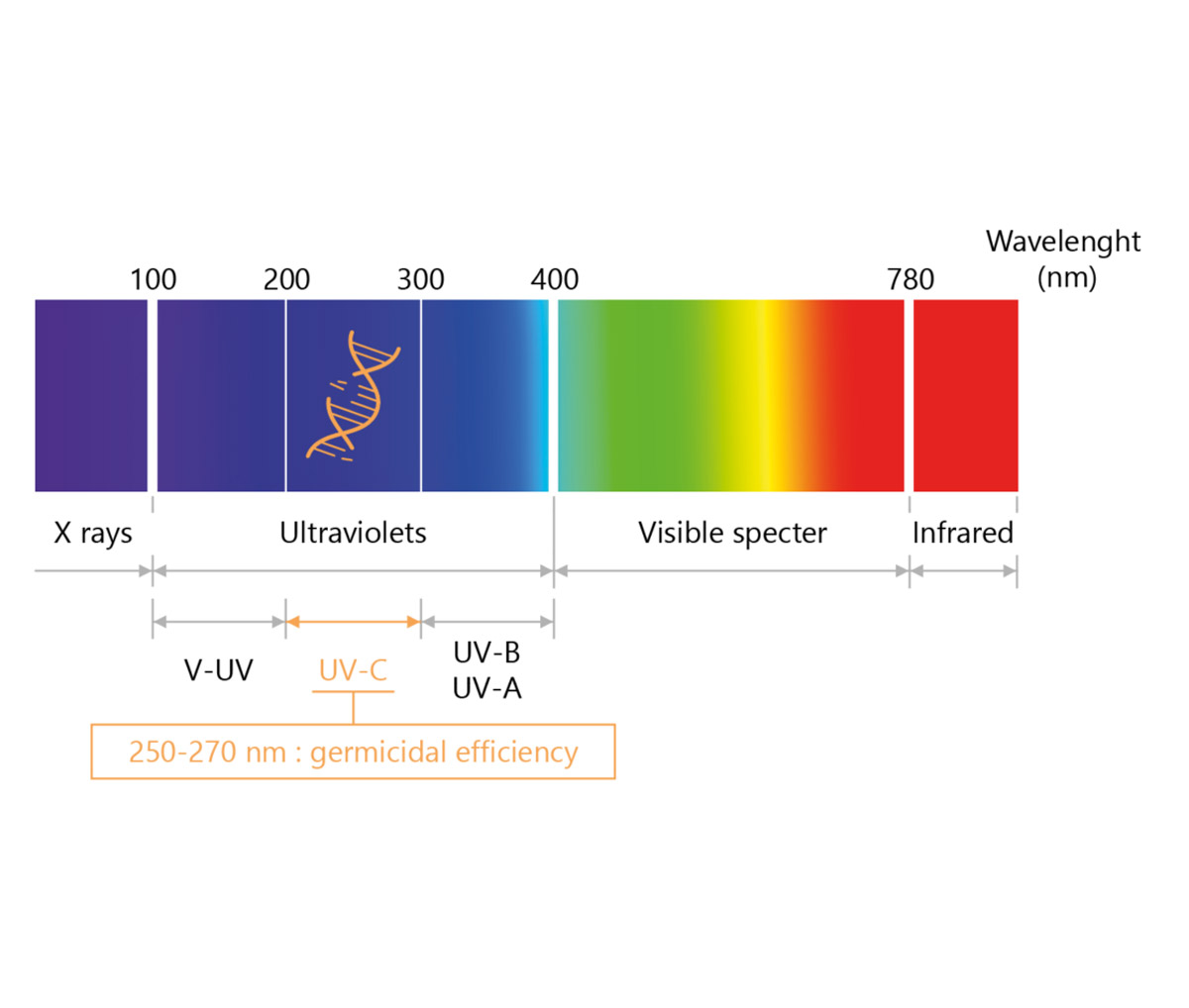 UV-C specter of light explanation
